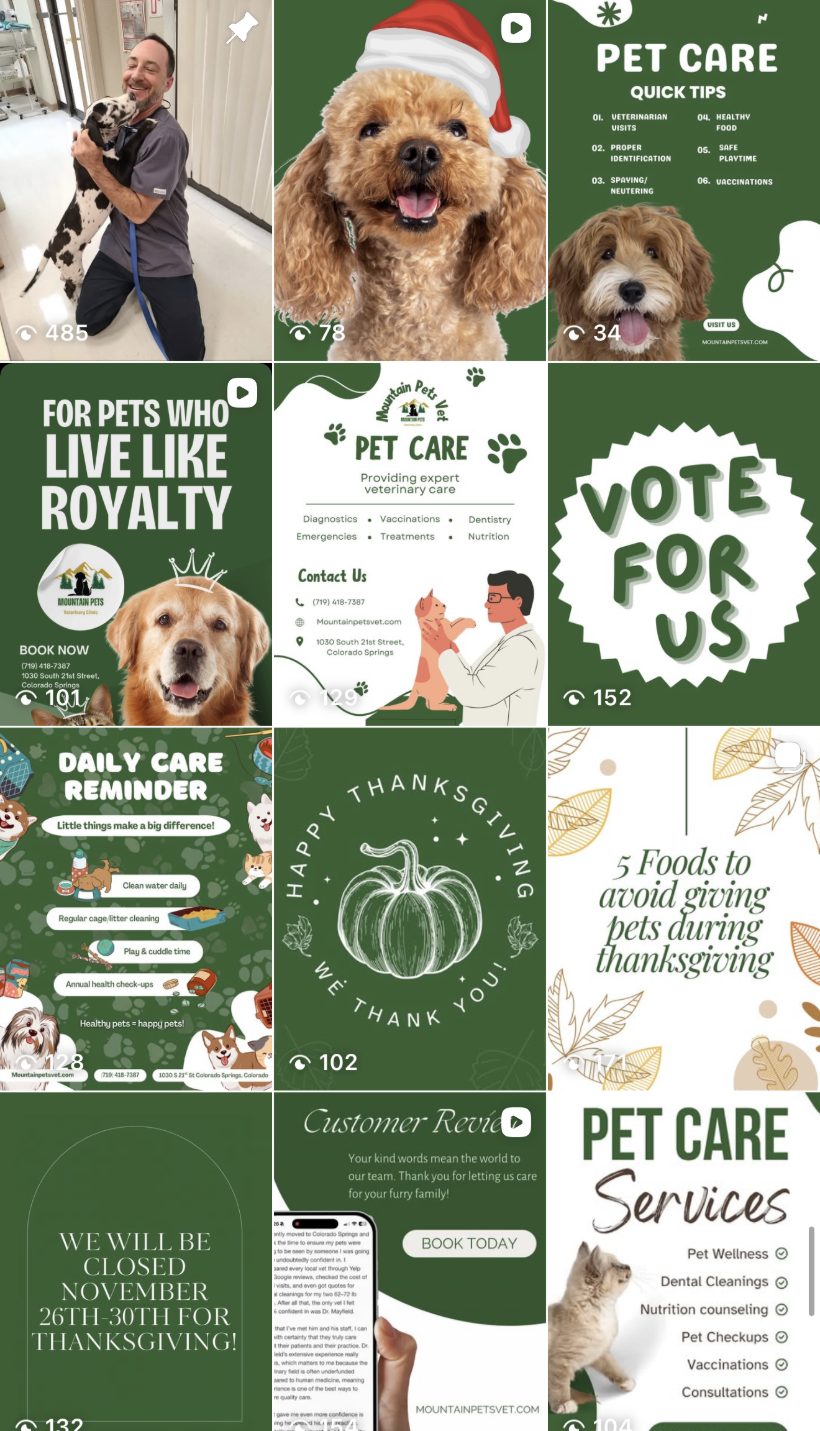 Mountain Pets Vet feed