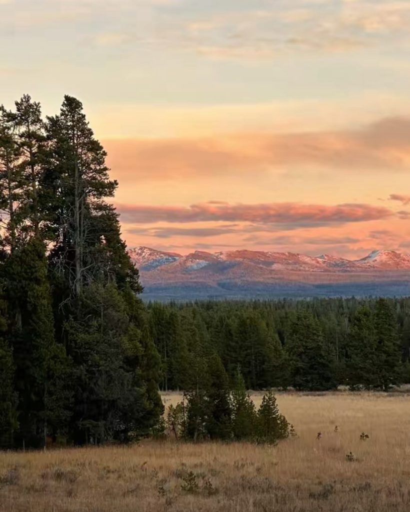 Alpenglow over the pines